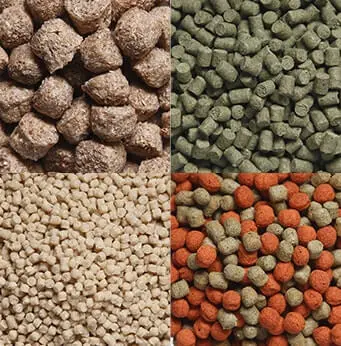 Aquatic Feed Application