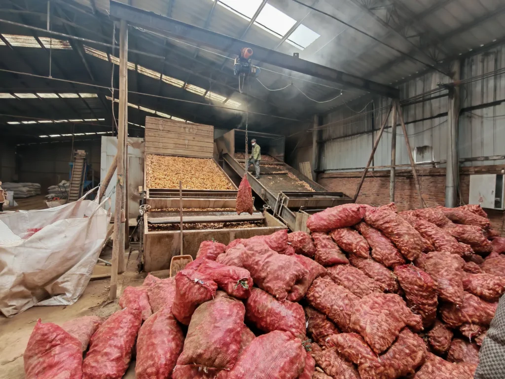 20250221焦作地黄客户现场 (2)