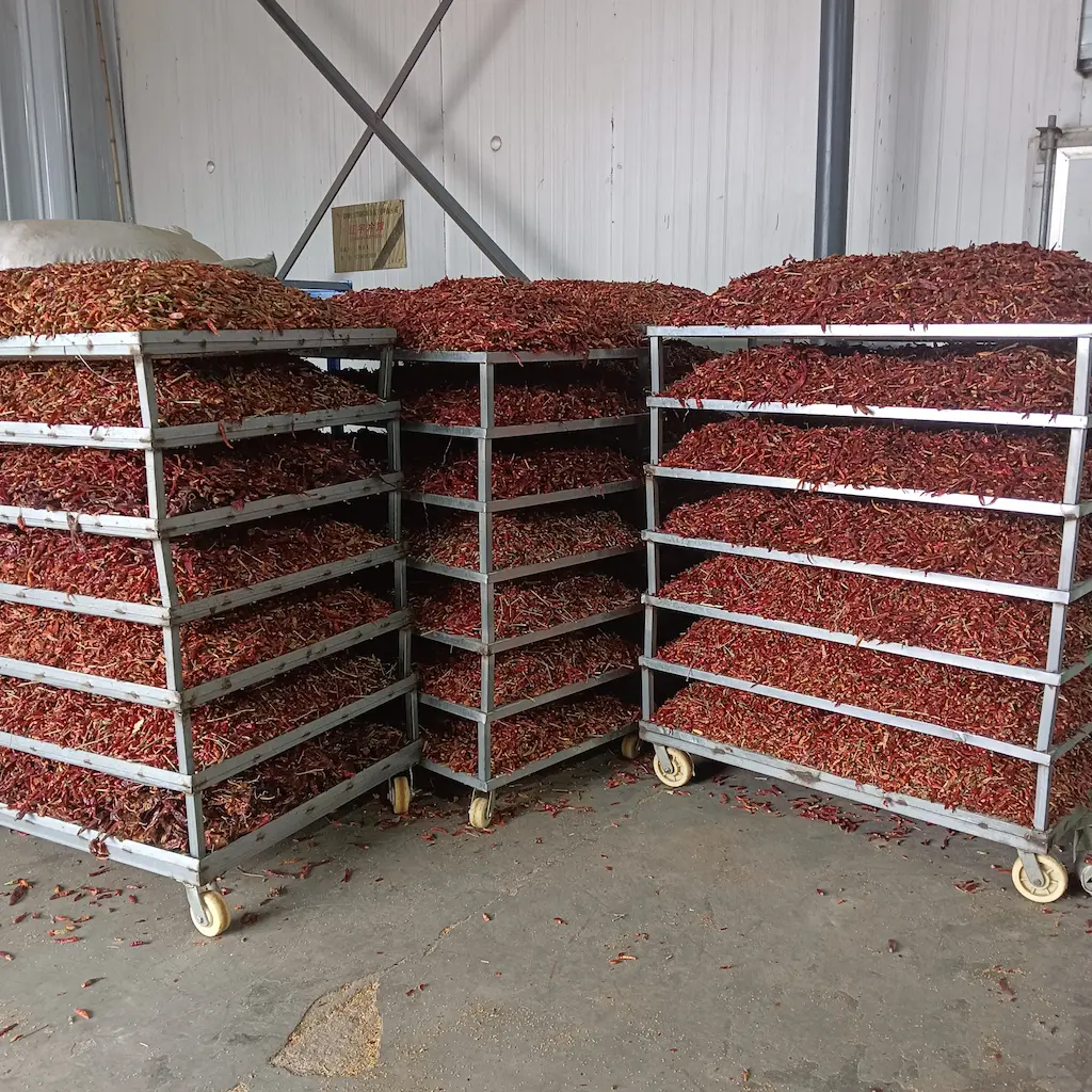 20250313南阳客户现场