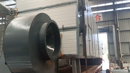 20250702湖北黄蜀葵15米网带