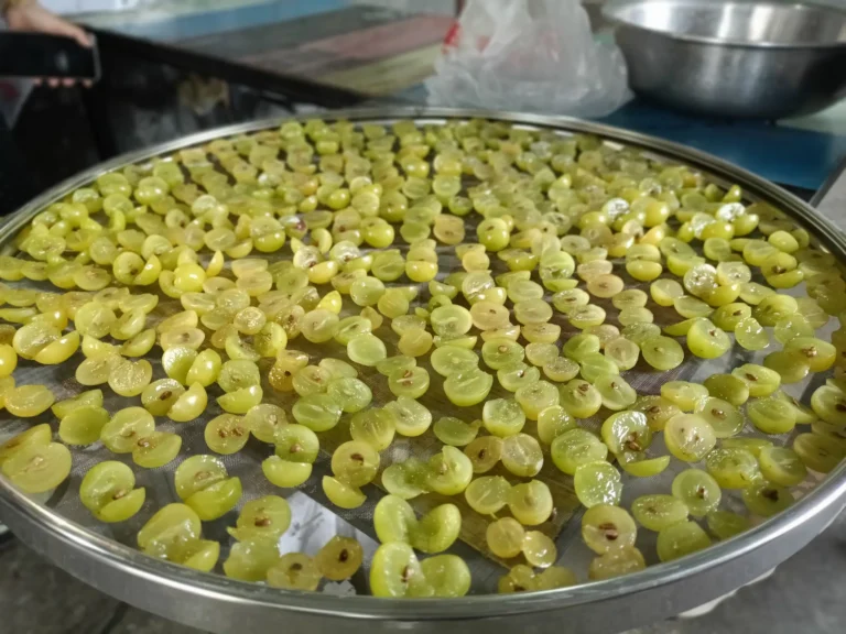 20250808阳光玫瑰