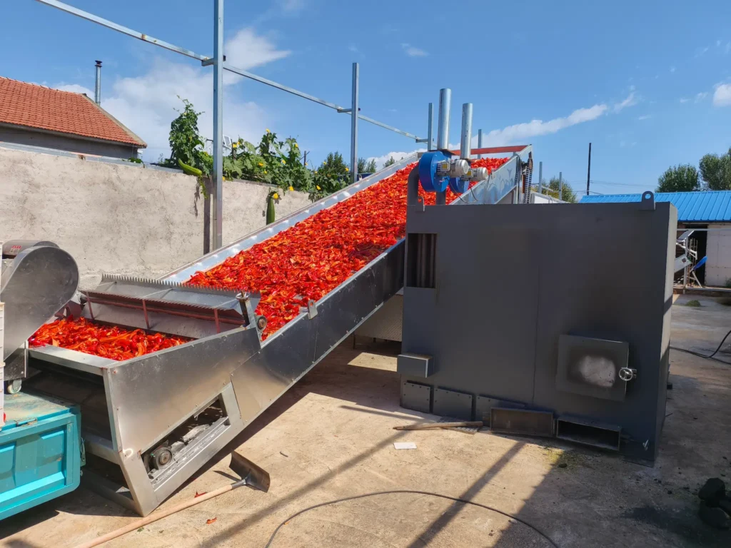 20250909内蒙9米豆角客户