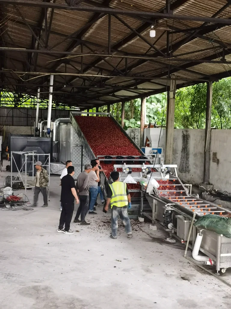 20251030草果现场