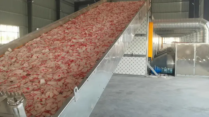 20251206网带20米现场